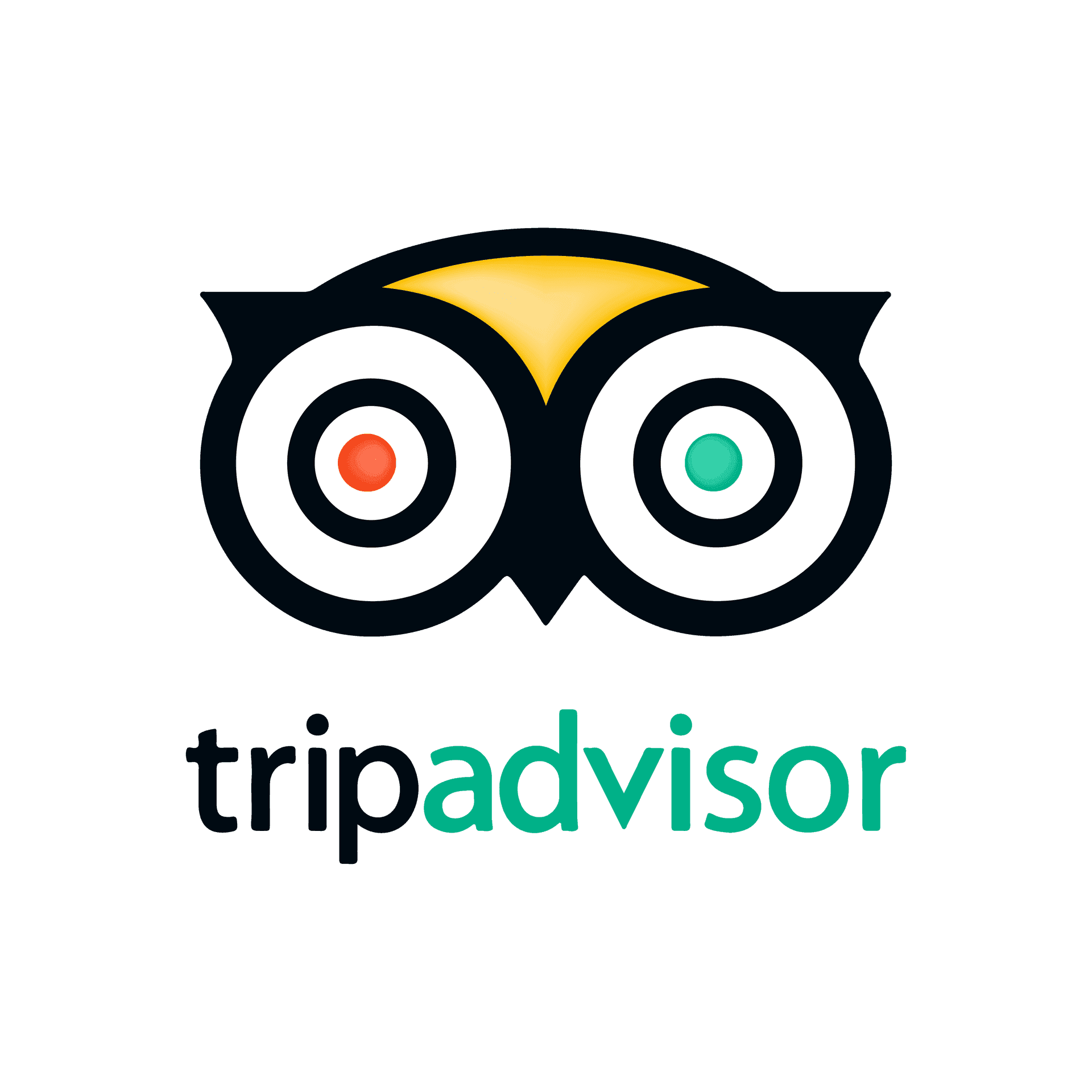 TripAdvisor logo featuring a black owl face with one red eye and one green eye.